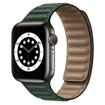 Ремешок - ApW31 Apple Watch 38/40/41мм экокожа на магните (green)