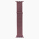 Ремешок - ApW22 Apple Watch 42/44/45мм спорт текстиль липучка (purple)